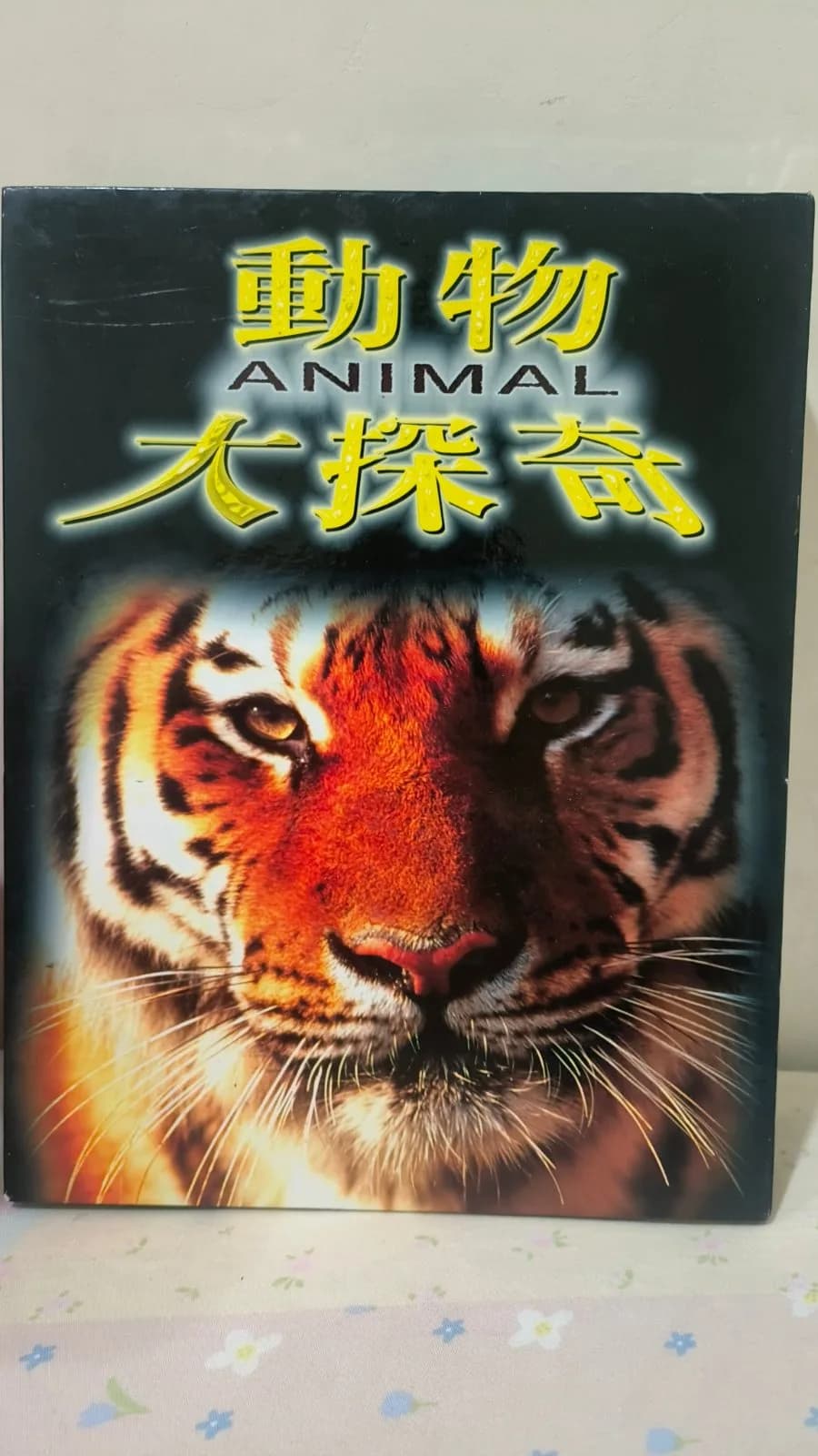動物大探奇