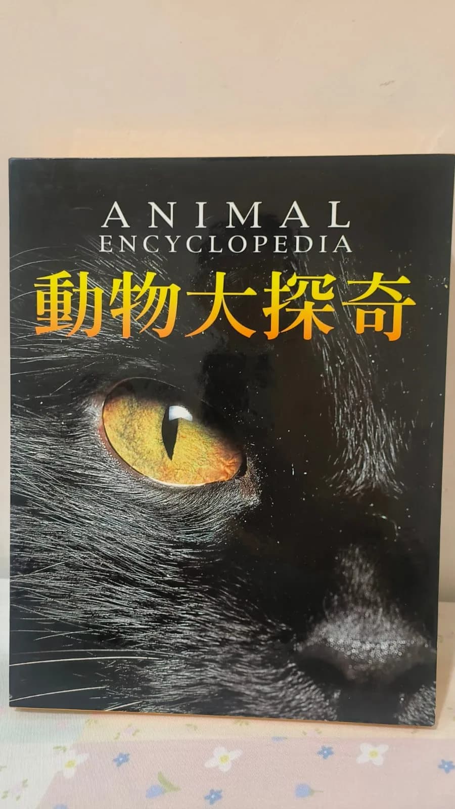 動物大探奇